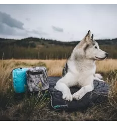 Couvertures - Rumpl | Loki - The Travel Dog Bed - outpost-shop.com