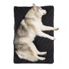 Rumpl | The Travel Dog Bed