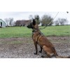 Dog Leash - 5.11 | Mission Ready™ Modular Dog Leash - outpost-shop.com