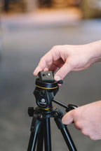 Vanguard Vesta 203AP - trépied aluminium avec rotule PH-23