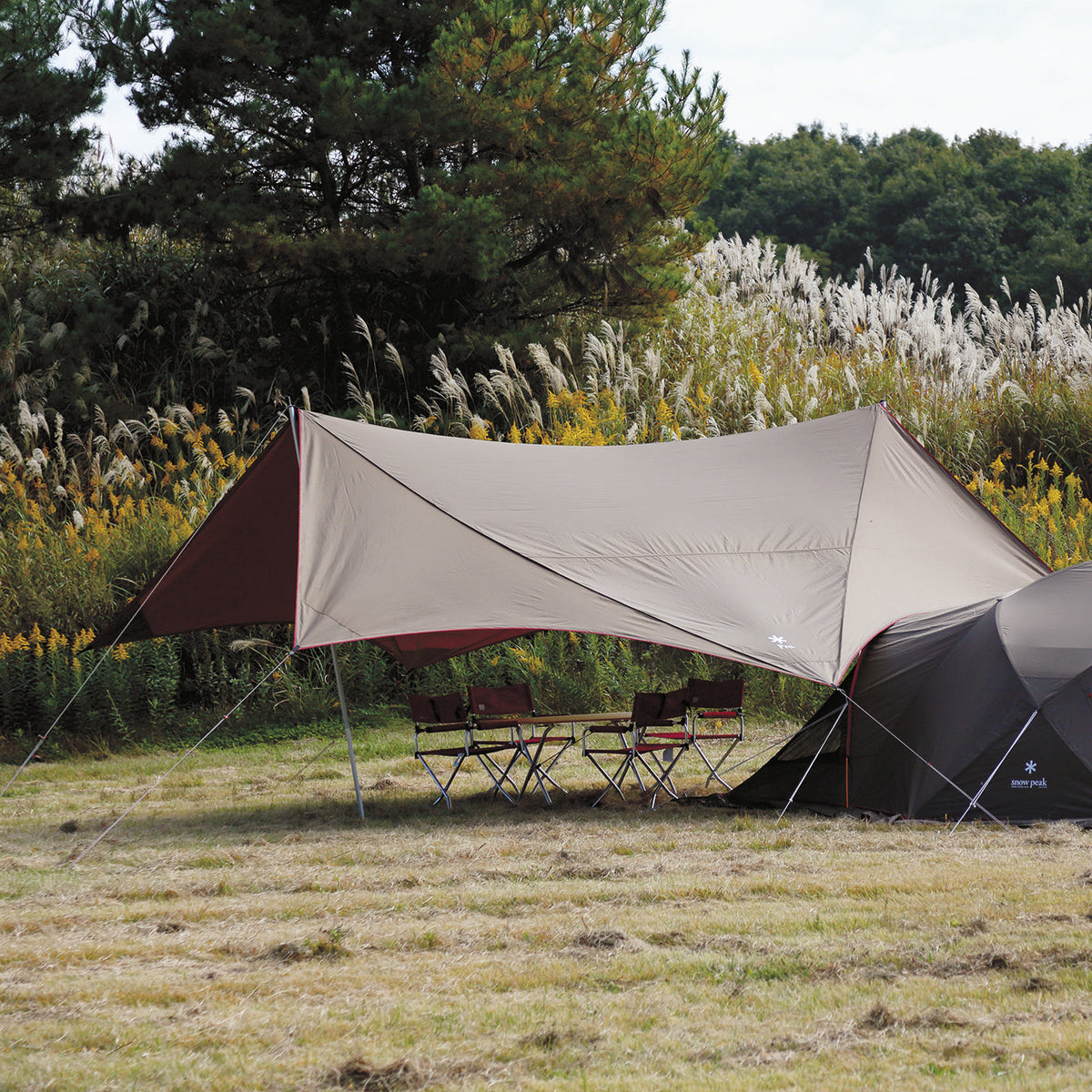 Tarp Snow Peak HD Tarp Shield Hexa Evo Pro.