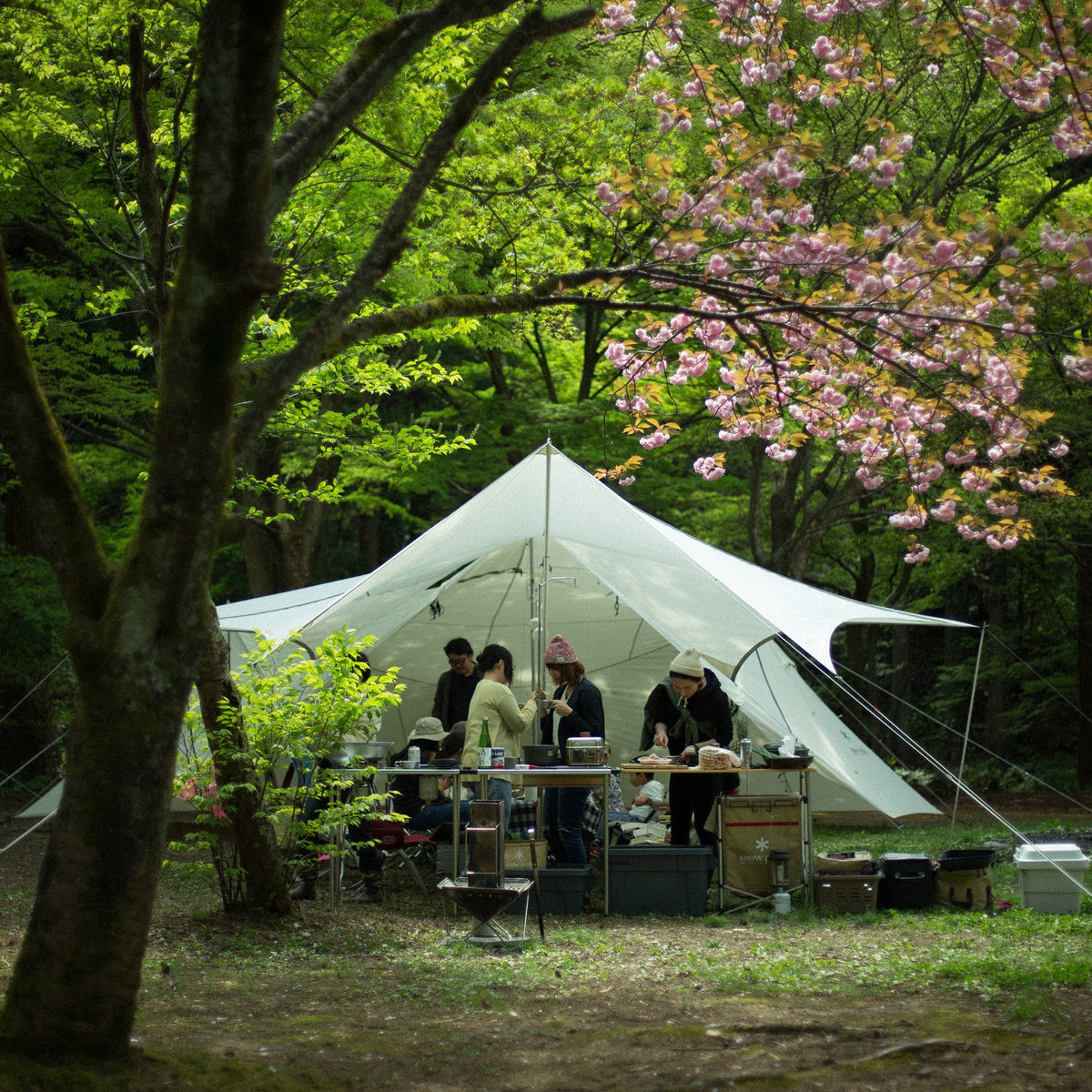 Tarp Snow Peak HD Tarp Hexa Evo Pro. Ivory
