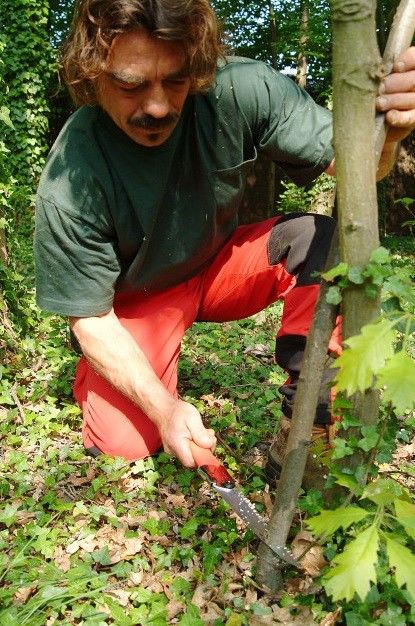 Couteaux & Outils - Silky | Scie d’élagage Pocketboy 130-8 - outpost-shop.com