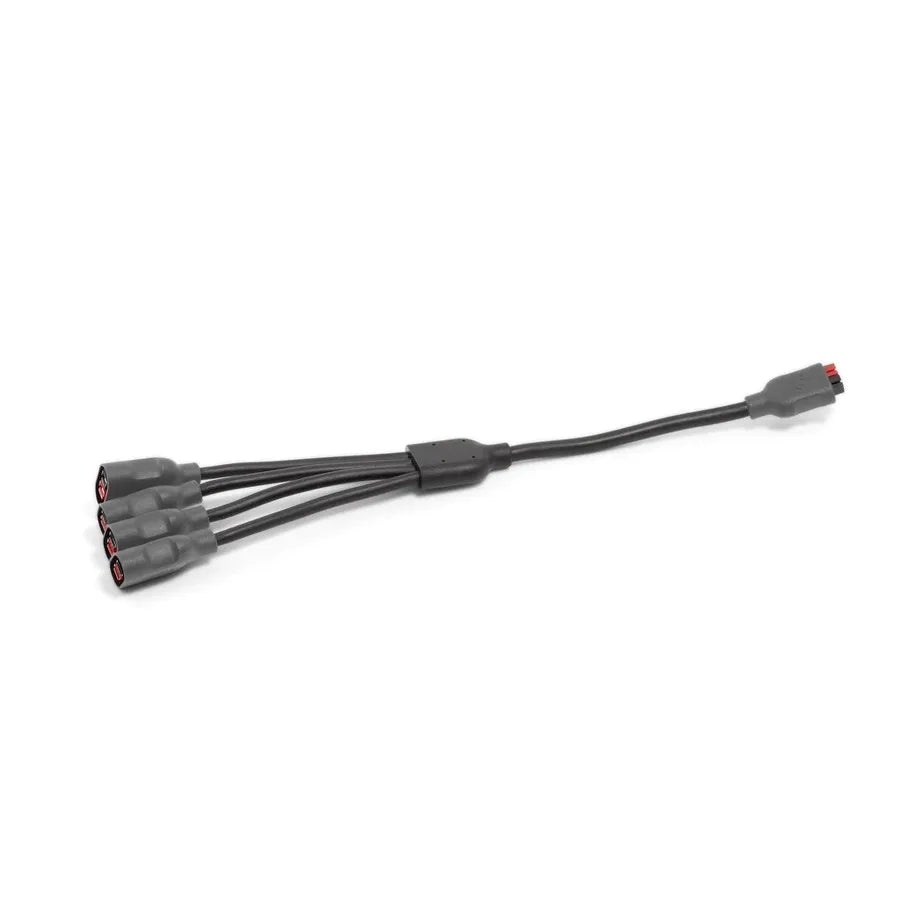 BioLite câble de chaînage 4 HPP vers 1 HPP