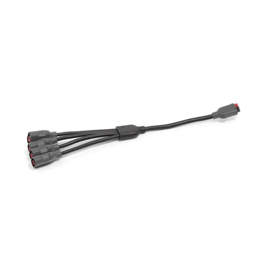BioLite câble de chaînage 4 HPP vers 1 HPP