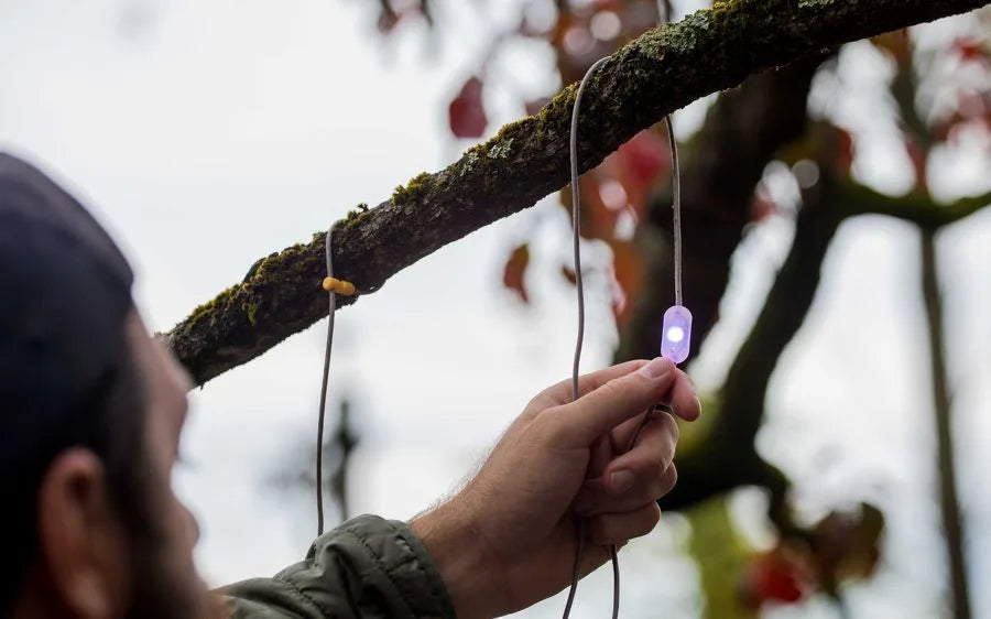 BioLite guirlande solaire 5,5 m - Solar String Lights