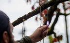 BioLite guirlande solaire 5,5 m - Solar String Lights