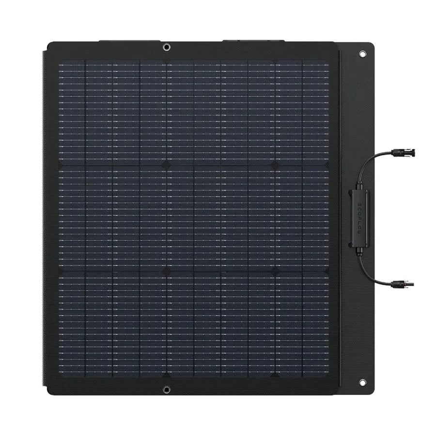 Panneau solaire portable léger EcoFlow 160 W