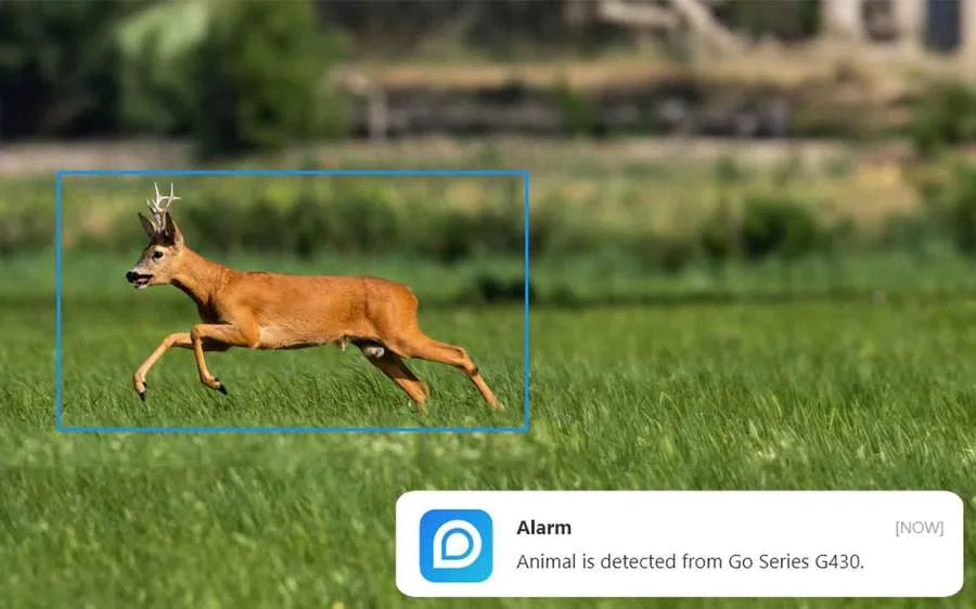 Caméra 4G solaire Reolink Go G450 V2 TrackMix 360°