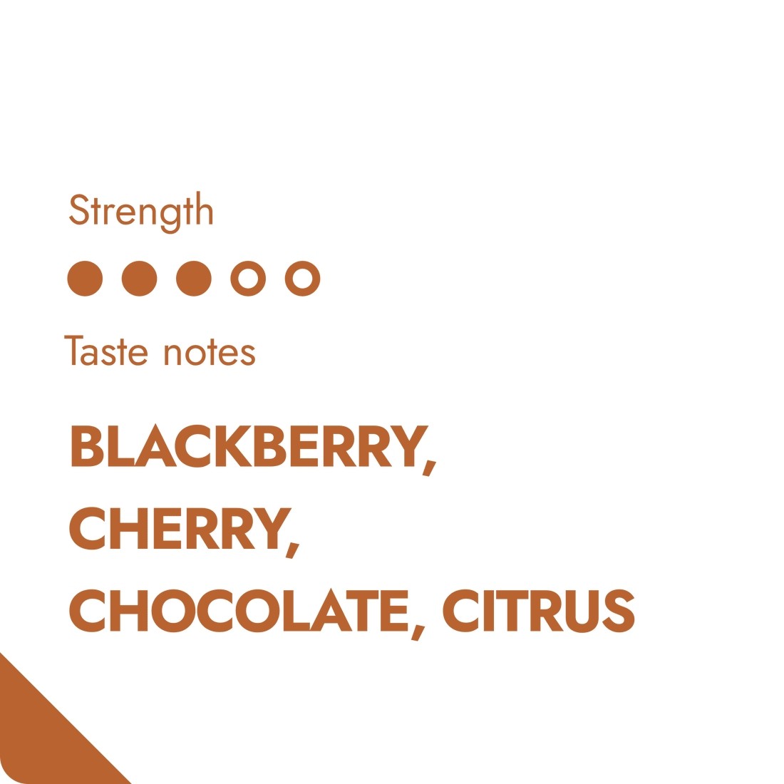 Café et Thé - The Brew Company | Grains de Café - Kenya - outpost-shop.com