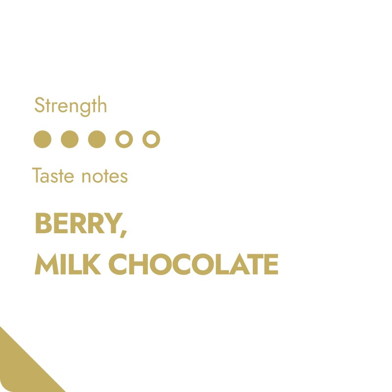 Café et Thé - The Brew Company | Grains de Café - Rwanda - outpost-shop.com