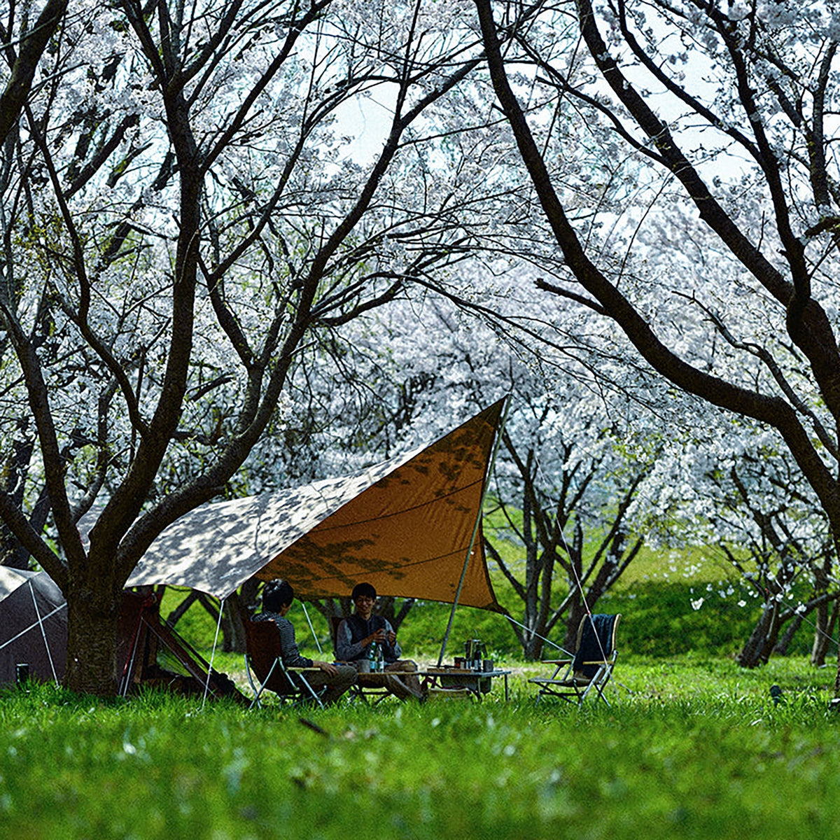 Kit tarp Snow Peak HD Hexa Tarp Pro Set