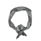 Paisley Mythosaur Bandana Prometheus Design Werx