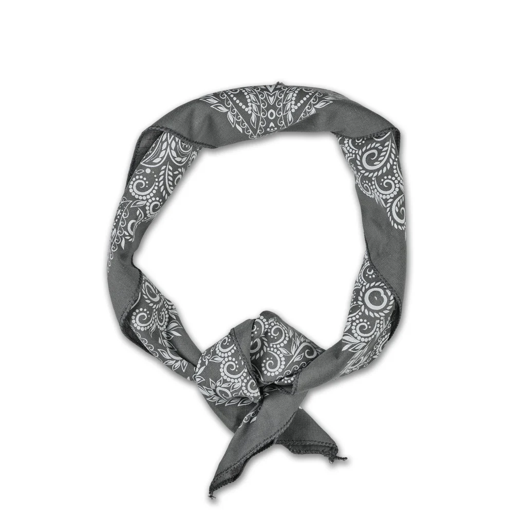 Paisley Mythosaur Bandana Prometheus Design Werx